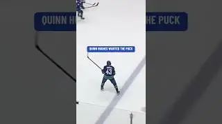 I Think Quinn Hughes Wanted The Puck 😬