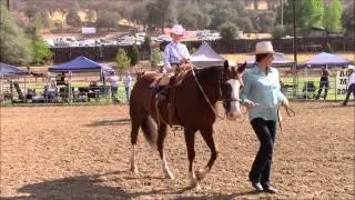 2015 Horse Show Lead Line Class