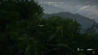 vigor-mu3rte con SVD