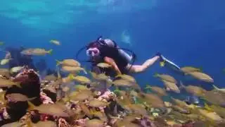 Florida Keys | Come As Your Are | Tour America