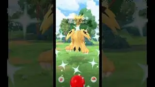 Наконец-то я получил ✨блестящего галарского Запдоса в #pokemongo