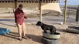 Using the Boat for Advanced Training