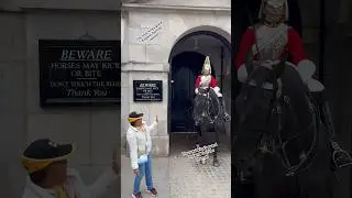 &ldquo;A CAPTIVATING ENCOUNTER: THE LADY'S DILEMMA WITH THE REGAL HORSE