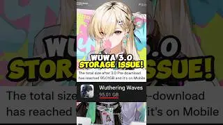 BRO&hellip; Wuwa 3.0 Is 95GB on Mobile WHAT 💀