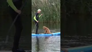 Suppen met je trouwe viervoeter!🐶