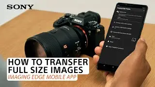 Sony | Imaging Edge Mobile App: How to transfer full-size images