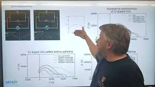 PYG4R-2025: Impedance spectroscopy for rapid fuel assessment