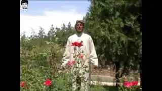 Махмадали Аюби - Шаби Ялдо