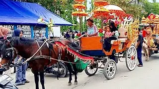 Naik delman🦓lagu anak balita🦓naik delman istimewa🦓lagu balita populer.