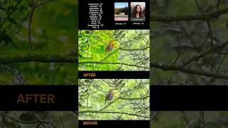 Captain Color Grading in CapCut &ndash; Cinematic Look in 2 Minutes!