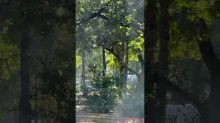 Real visual effect 🌦️ Sunay rain in Budapest #visualeffects #cinema #budapest