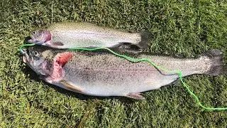 Santee Lakes Trout Opener 2021!