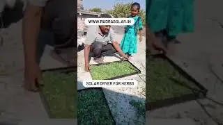 Solar Dryer For Herbs Best Quality Solar Dryer For Drying Herbs #solardryer | सोलर ड्रायर |