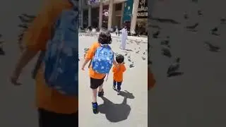 Mashallah#veiws#viral#wholesome#dialyroutine