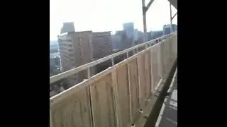 Ladybug in Japan テントウムシ