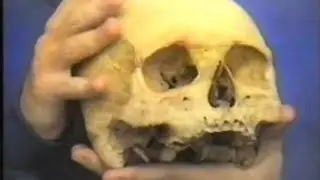 FANTASMAS 2