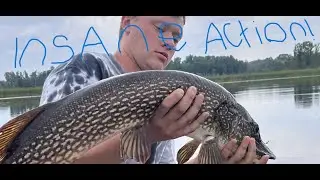 Northern MN Summer Topwater Bass Fishing