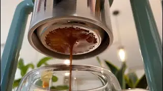 1 &ndash; Volcanica Brazil Yellow Bourbon, Espresso