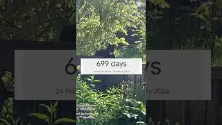 #cat #death