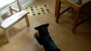 Maya and her plate