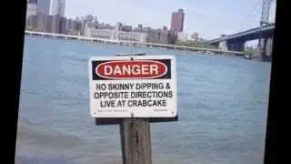 OPPOSITE DIRECTIONS LIVE at Crabcake Factory Bayside