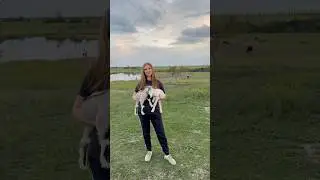 Ферма #trendingshorts #music #2025 #nature #природа #ферма #farming #врек #foryou #деревня #home