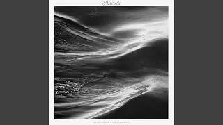 A Vestige of Land and Sea