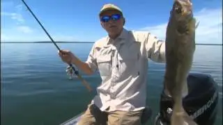 Three way Walleye Rigs