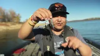 Clear Umbrella Rig (CUR) Mini | Tornado Innovation
