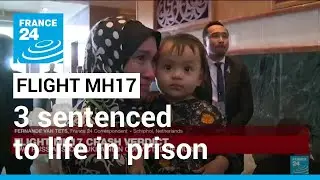 Dutch court sentences 3 to life in prison for 2014 downing of MH17 &bull; FRANCE 24 English