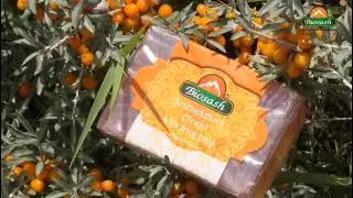 | Boost your immunity with Biosash product |  #Biosash #BiosashProducts #seabuckthornjuice