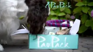 Tommy loves PawPack