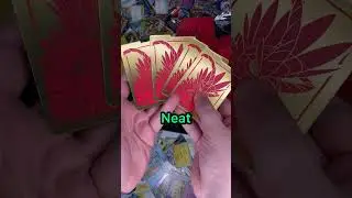 UNBOXING! The NEW Pok&eacute;mon Scarlet And Violet Elite Trainer Box! Wow!! 🤩🤯