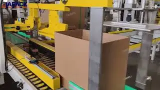 Automatic small bag forming filling sealing conveying & carton filling line for 1.5kg pet food