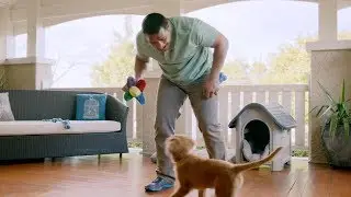 The Reject Shop - Come on, get savvy Pets Commercial