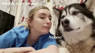 How long will MY HUSKY let me lie with him