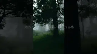 Rain Whatsapp Status🌿🌧️ #shorts #rain #weather