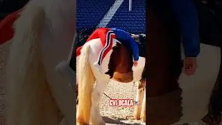 First-ever CVI Vaulting in Florida at World Equestrian Center &mdash; history made 🐎✨ #vaulting #ocala