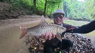 The Mighty Red Mahseer