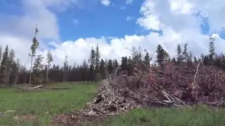 Walking at the Pathways spiritual sanctuary, SD - pt 1