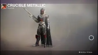Destiny 2 Hunter with Virtuous Ornaments and Crucible Metallic Shader