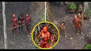 Secrets Of The Amazon Rainforest Revealed!
