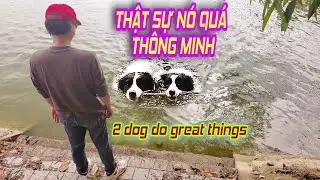 B&aacute;i Phục 2 Ch&uacute; C&uacute;n L&agrave;m Được Điều Tuyệt Vời (2 dog do great things)