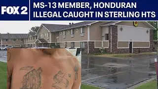 Details emerge after MS-13 gang member, Honduran illegal arrested in Sterling Heights
