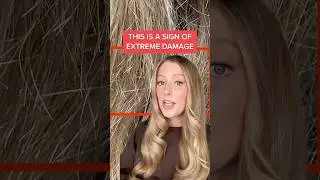 How to know if you have EXTREME hair damage 😬