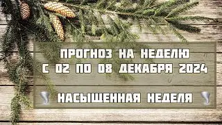 ПРОГНОЗ НА 49-ую НЕДЕЛЮ 2024 ✨Выпуск 163 #доходчиваяастрология