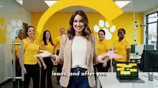 Well Groomed Franchise Opportunity