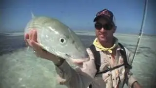 Farquhar Atoll - Fly Fishing with FlyCastaway