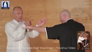 Applications martiales Taichi Yang ancien