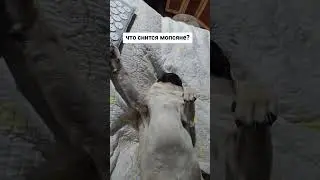 15 февраля 2026 г.